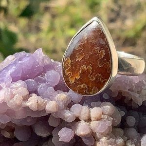 SUTURED AMMONITE 925 STERLING SILVER RING, SIZE 7.25